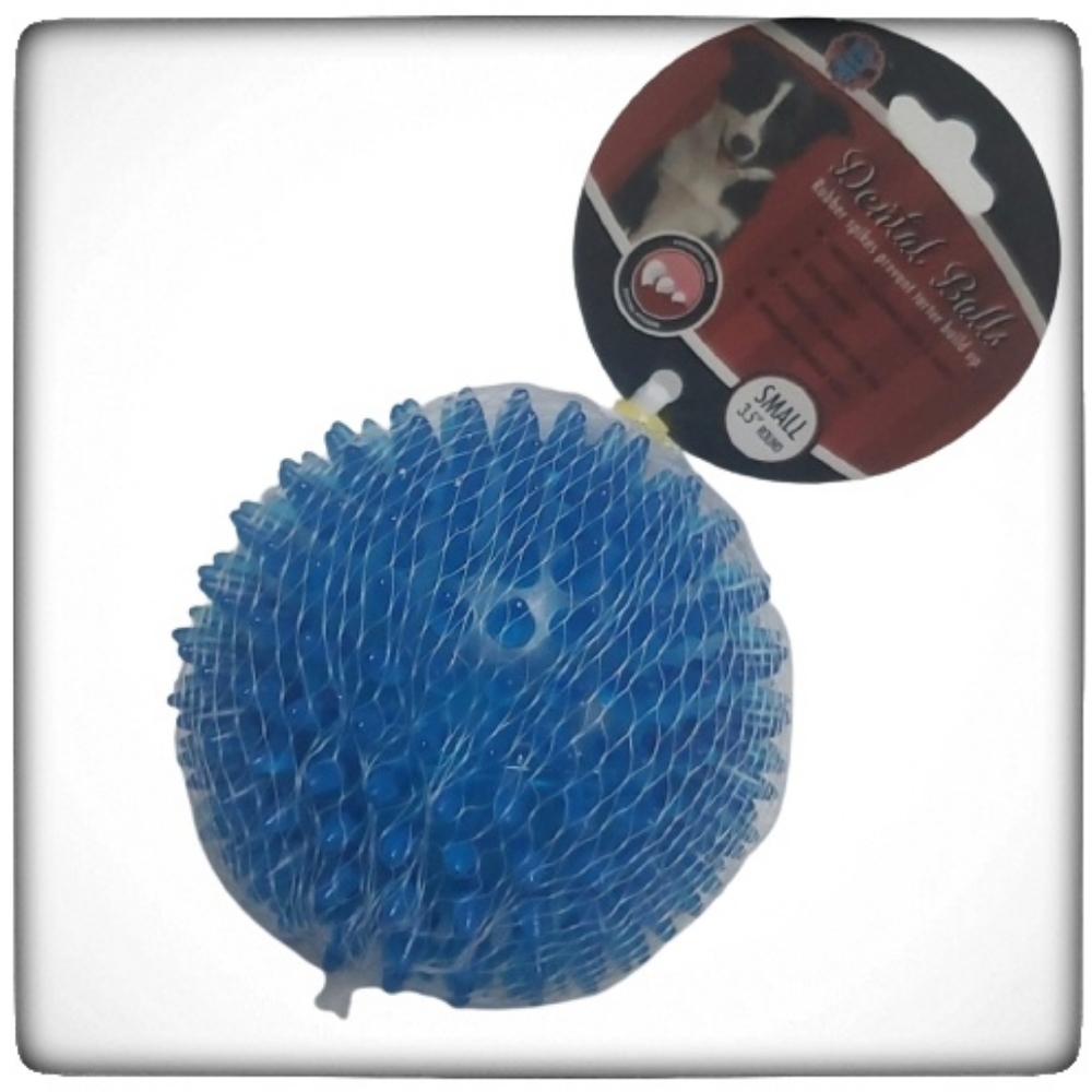 European Home Designs Dental Ball